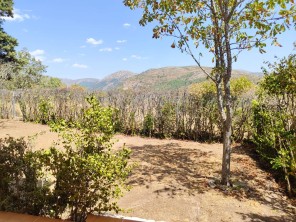 Jardín